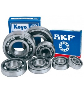 SKF RULMAN GRUPLARI